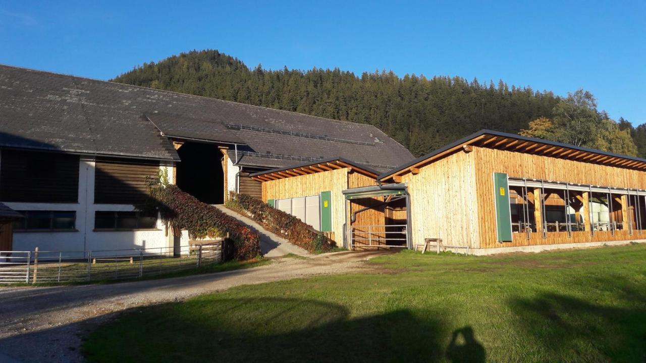 Schusterbauernhof Bad Mitterndorf Exterior foto